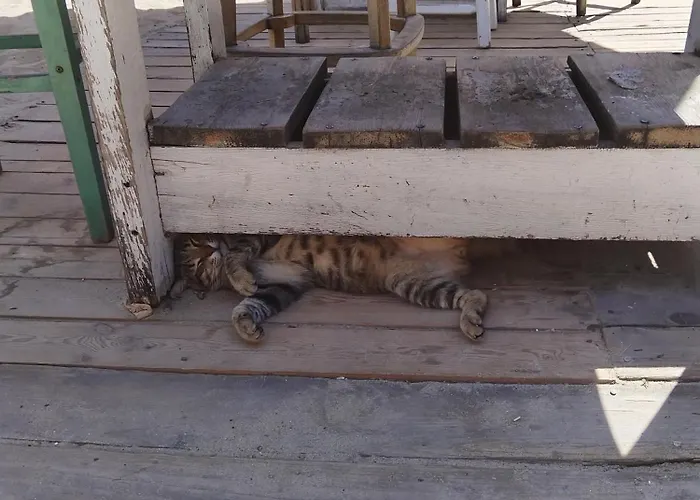 Centre Suits Διαμέρισμα *